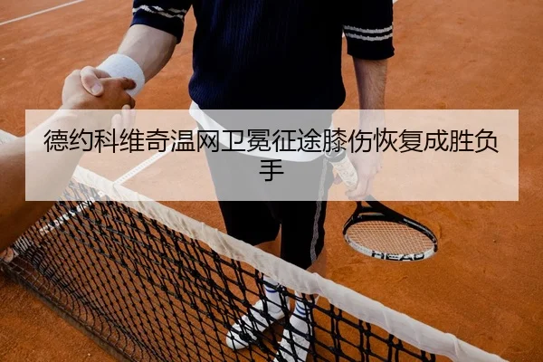 de-yue-ke-wei-qi-wen-wang-wei-mian-zheng-tu-xi-shang-hui-fu-cheng-sheng-fu-shou-2-250.jpg