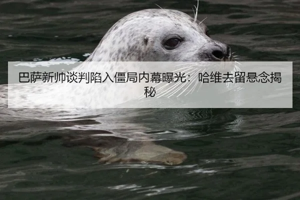 ba-sa-xin-shuai-tan-pan-xian-ru-jiang-ju-nei-mu-bao-guang-ha-wei-qu-liu-xuan-nian-jie-mi-3-698.jpg