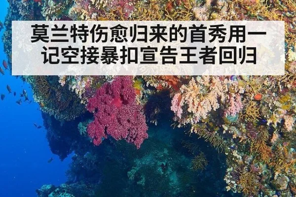 莫兰特伤愈归来的首秀用一记空接暴扣宣告王者回归